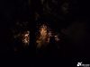 p1050293
