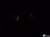 p1050295