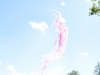 dsc6451_397x600