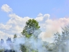 dsc6453_397x600