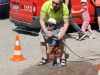 IMG_3966